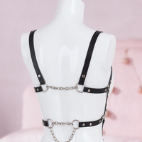 Net Worth full body harness, close-up of the top, back
