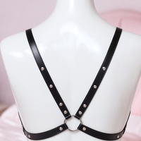Open House chest harness, close-up of the back