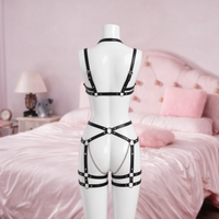 Chain Ladder full body harness, back view on a mannequin
