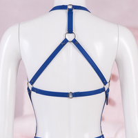 Blue Mood full body harness, close-up of the top, back