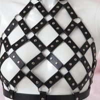Harlequin diamond lattice halter harness, close-up of the straps and silver-tone hardware