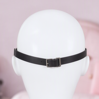Bat Signal mask, close-up of the back